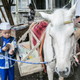 Illustration for article titled In Central Java, This Bookmobile Travels On Hooves Instead Of Wheels